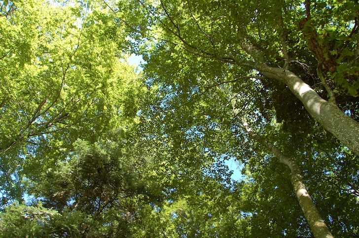 Catéchisme | Camp du Cycle II Prêles 2010